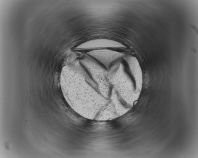 X0000098200428200805221546