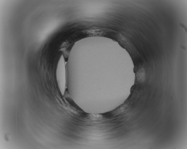 X0000098200429200805221546