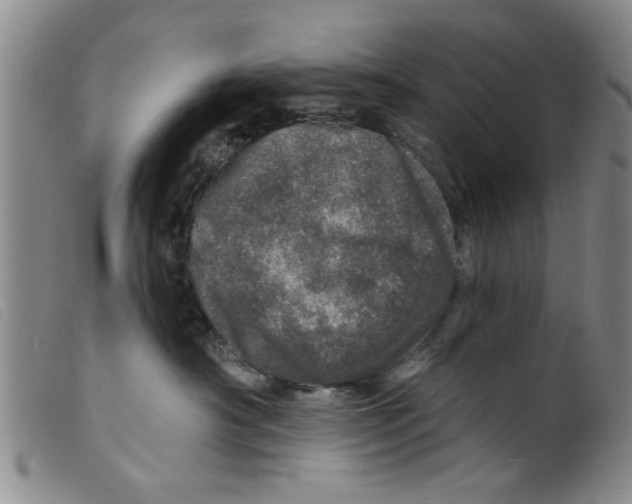 X0000098200430200805221546