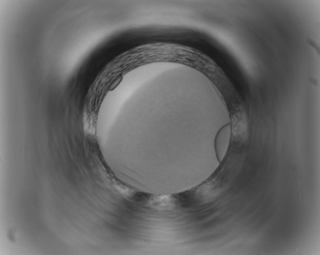 X0000098200431200805221546