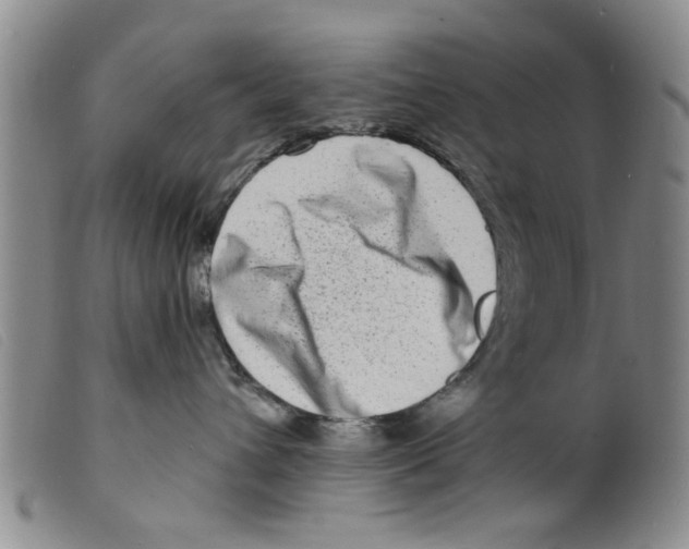 X0000098200432200805221546
