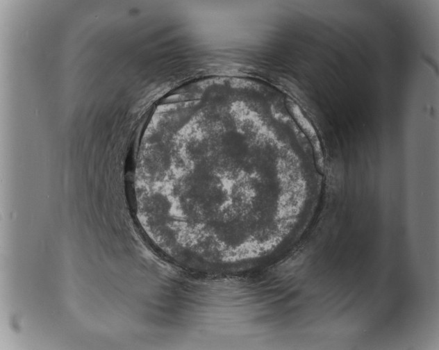 X0000098200433200805221545