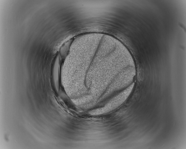 X0000098200434200805221545