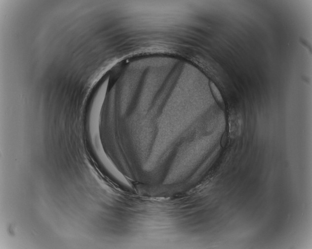 X0000098200436200805221545
