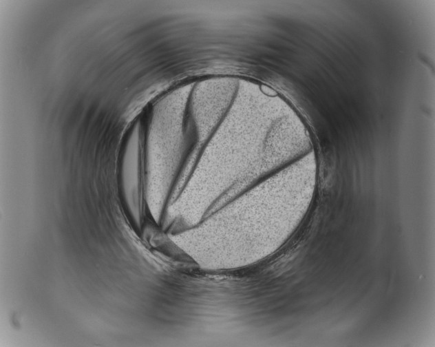 X0000098200437200805221545