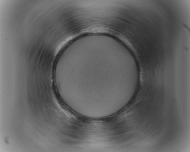 X0000098200438200805221545
