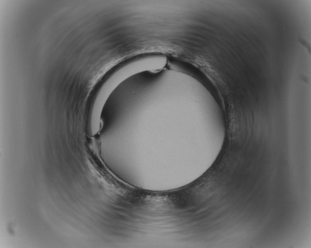 X0000098200440200805221545