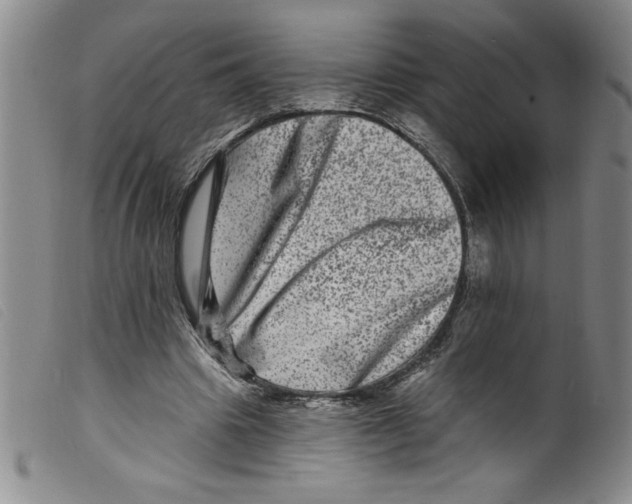 X0000098200441200805221545