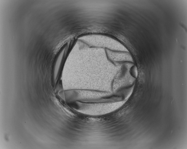 X0000098200442200805221545