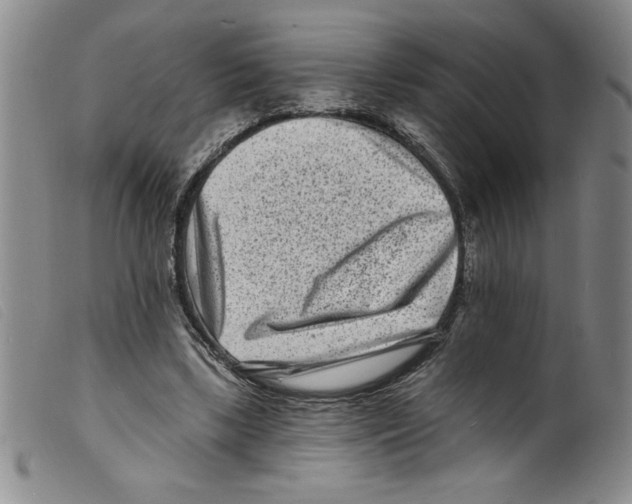 X0000098200443200805221545