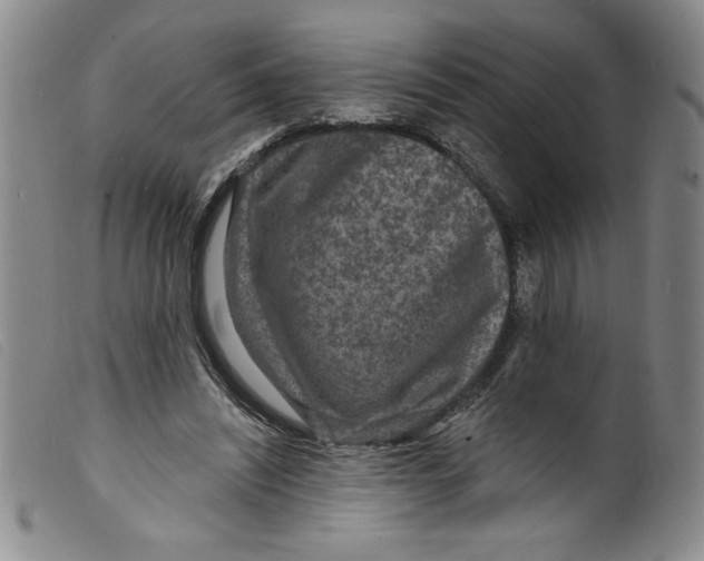 X0000098200444200805221545