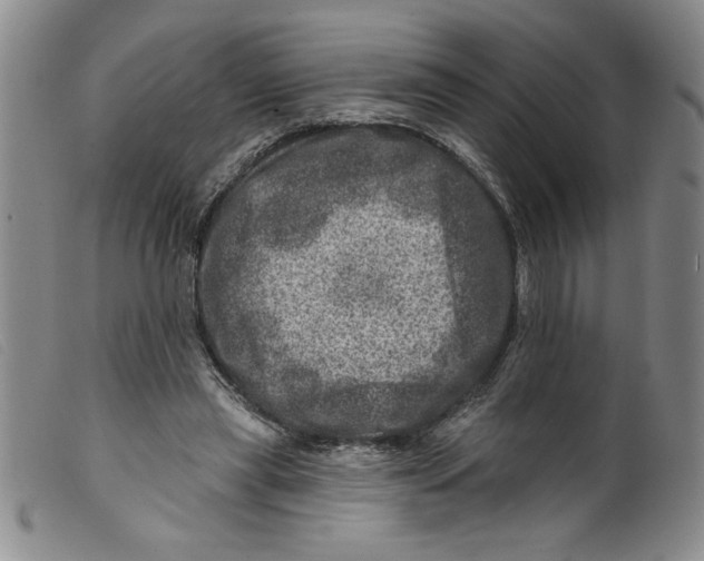 X0000098200445200805221545