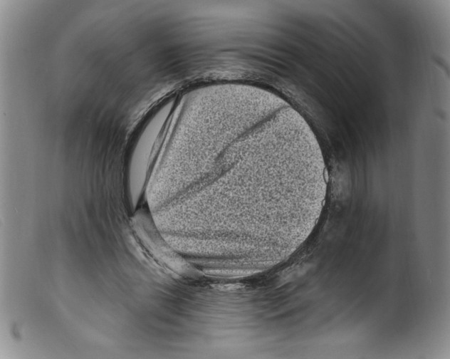X0000098200446200805221545