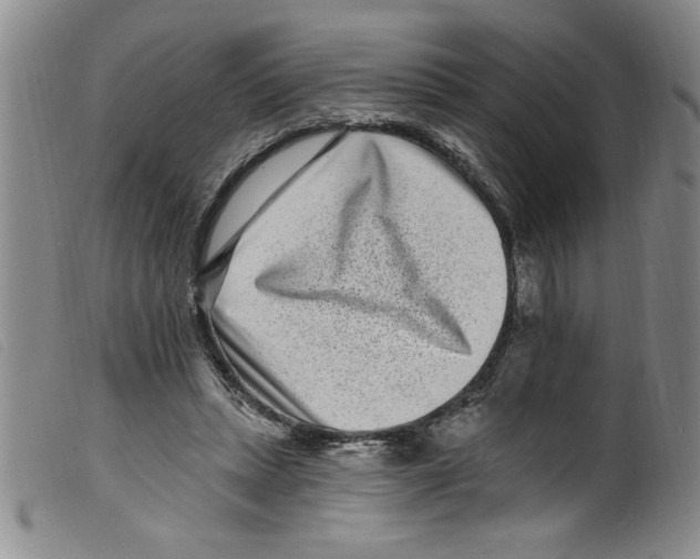 X0000098200447200805221545