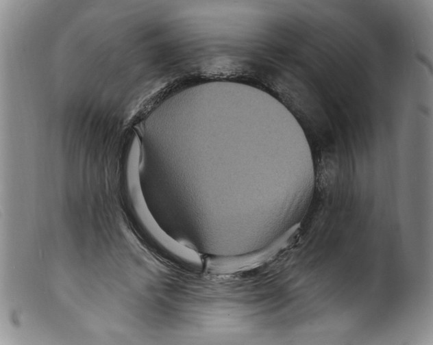 X0000098200448200805221545
