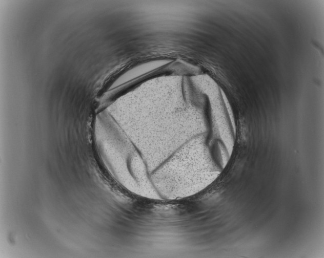 X0000098200450200805221545