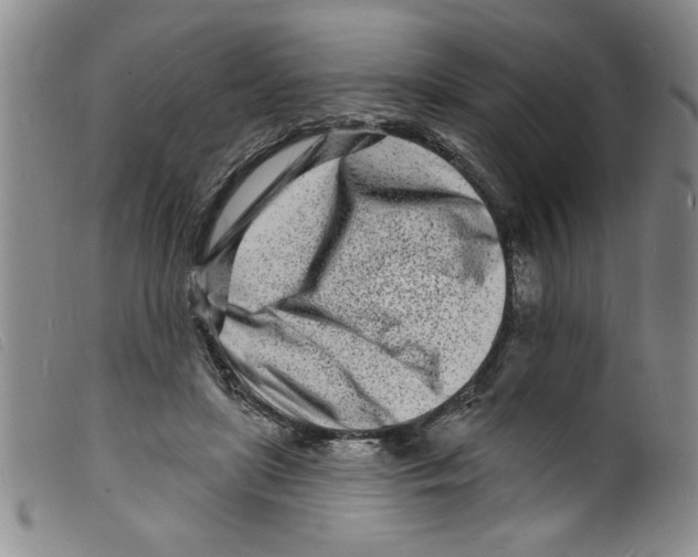 X0000098200451200805221545