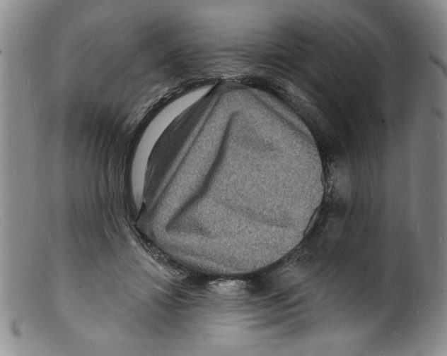 X0000098200452200805221545
