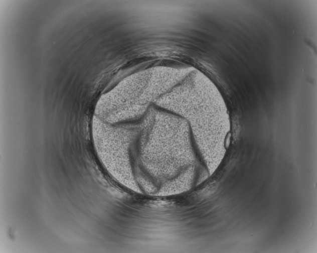 X0000098200453200805221545