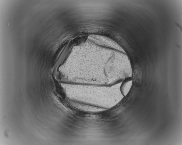 X0000098200454200805221545