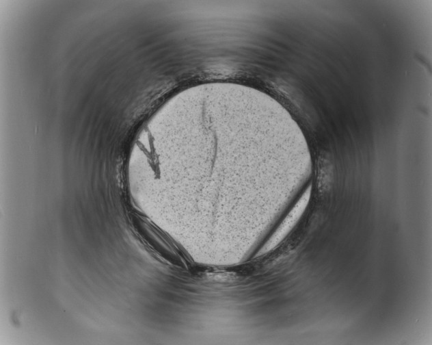 X0000098200455200805221545