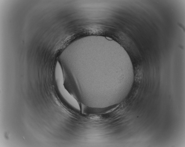 X0000098200456200805221545