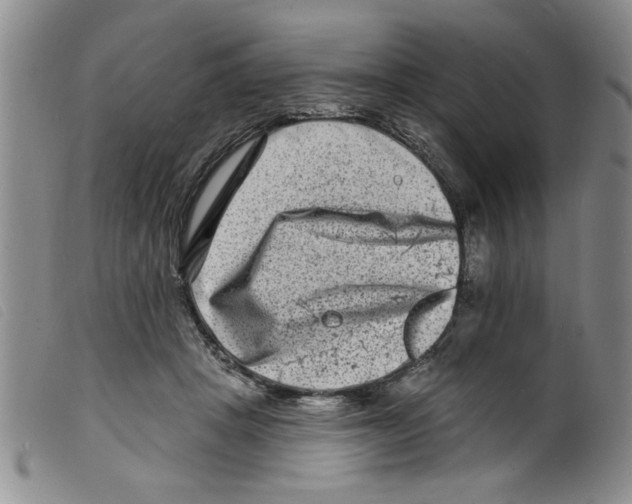 X0000098200457200805221545