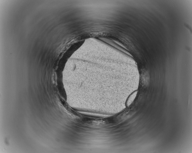 X0000098200458200805221545