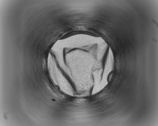 X0000098200459200805221545