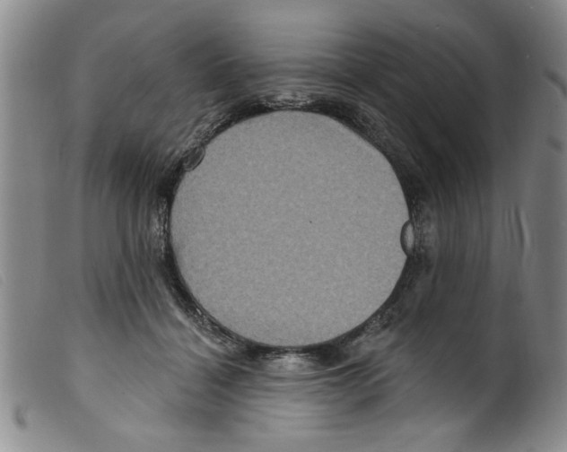 X0000098200460200805221545