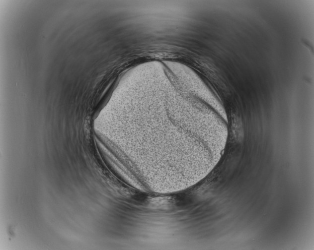 X0000098200461200805221545