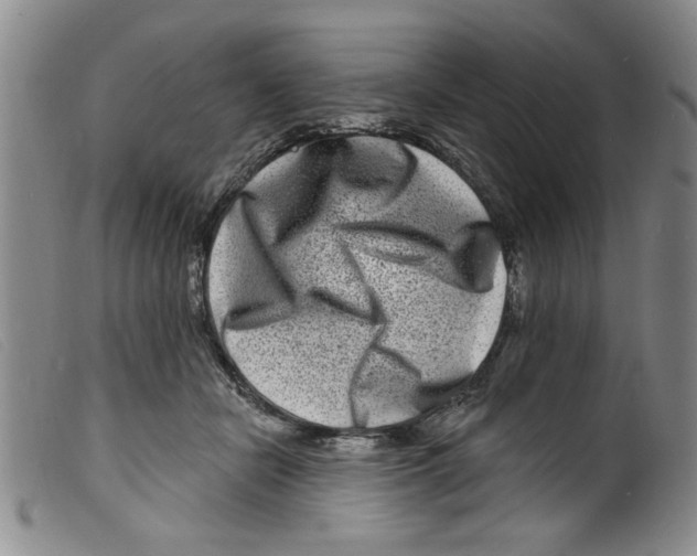 X0000098200462200805221545