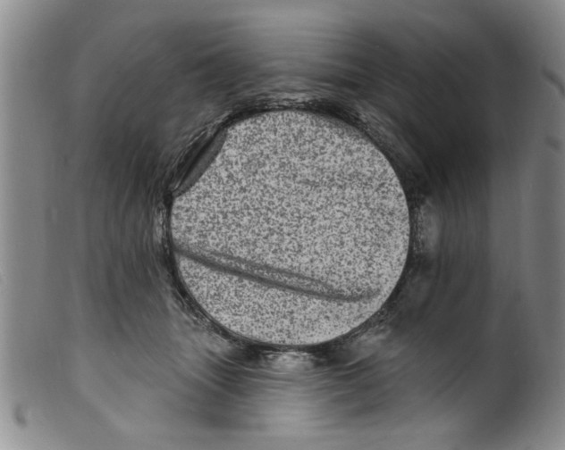 X0000098200463200805221545