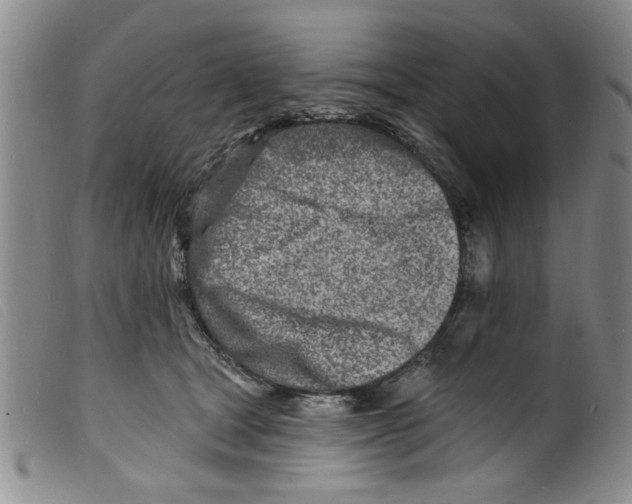 X0000098200465200805221545