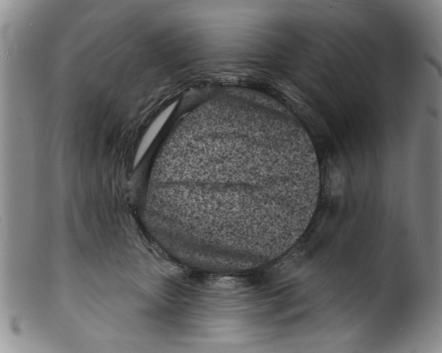 X0000098200467200805221545