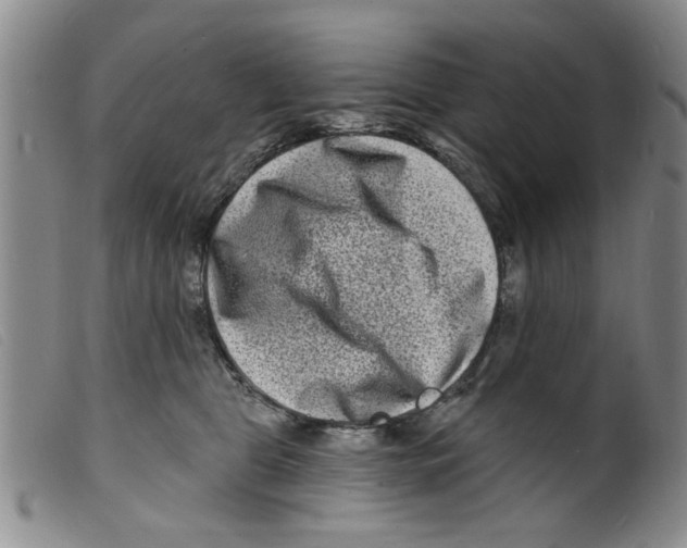 X0000098200469200805221545