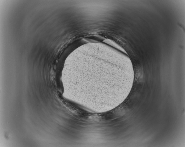X0000098200470200805221546