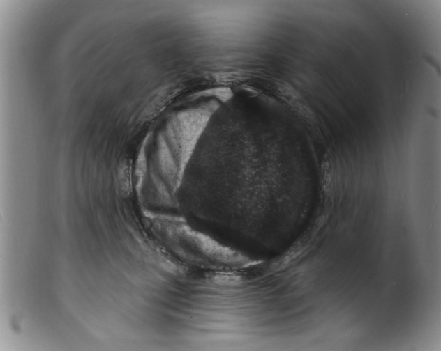 X0000098200471200805221546