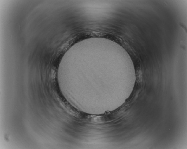X0000098200472200805221546