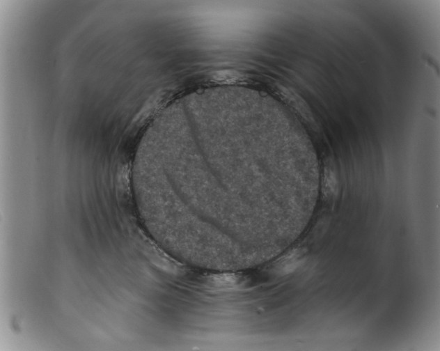 X0000098200473200805221546