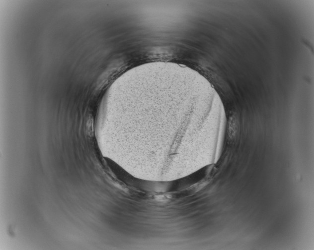 X0000098200474200805221546