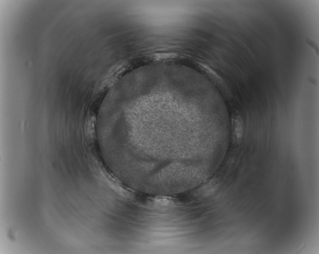 X0000098200475200805221546