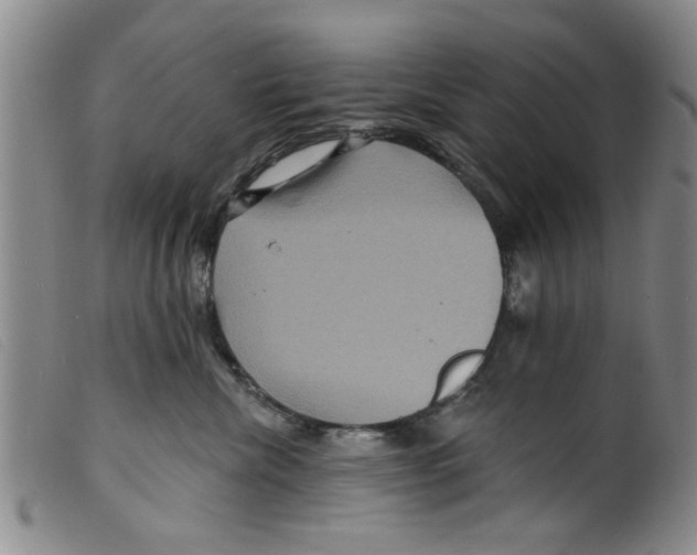 X0000098200476200805221546