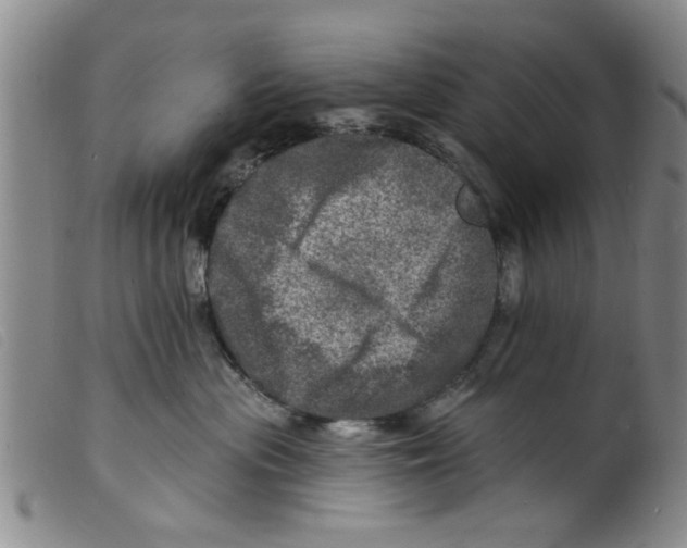 X0000098200477200805221546