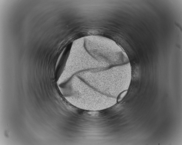 X0000098200478200805221546