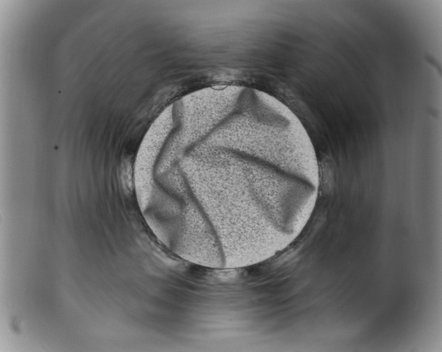 X0000098200479200805221546