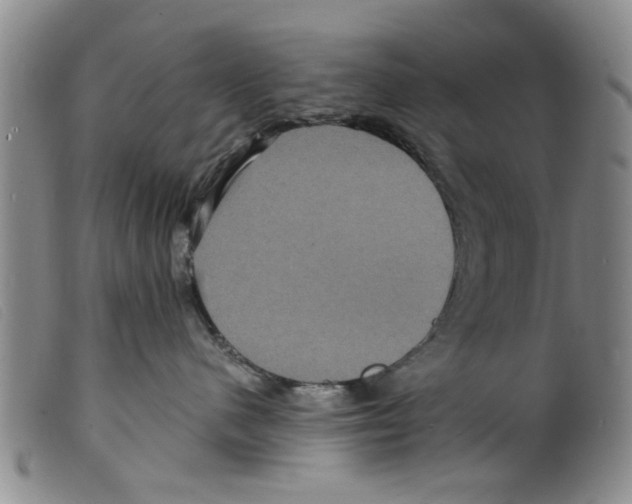 X0000098200480200805221546