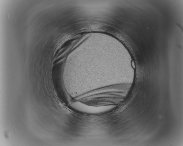 X0000098200481200805221545