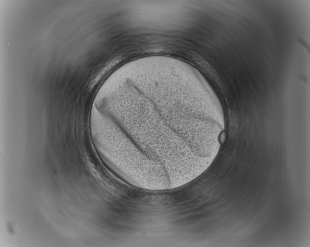 X0000098200482200805221545