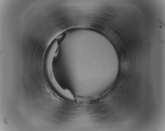 X0000098200484200805221545
